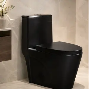 ARCH Black Ceramic One-Piece Toilet, Dual-Flush 1.1/1.6 GPF Water-Efficient Elongated Comfort Height Floor Mounted Standard-Size Toilet with Soft Closing Seat, ADA Compliant, Siphon Flush, MaP 1000g, for Bathroom, Black Color Options