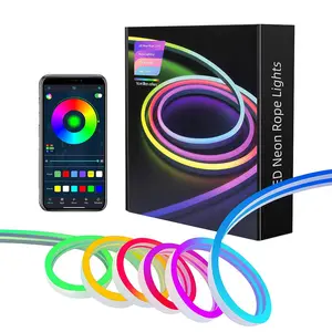 4M Neon Rope Light, LED Neon Lights, 1 Count USB Colorful Neon Rope Light with Music Mode, Desktop Background Ambient Light, TV Background Light with Remote Control