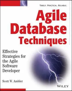 USED-Agile Database Techniques: Effective Strategies for the Agile Software Developer by Scott Ambler (Paperback)