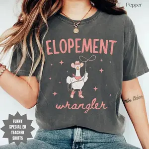 Comfort Colors Elopement Expert TShirt Funny ABA Therapist Tee BCBA RBT Behavior Analyst Gift Goose Humor T-Shirt Special Education Teacher