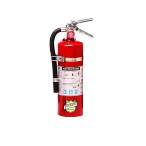 Buckeye 5 lbs ABC Dry Chemical Fire Extinguisher, Aluminum Construction with Dipping Finish, 12-18 ft Range, 16.37" Height, Vehicle Mount