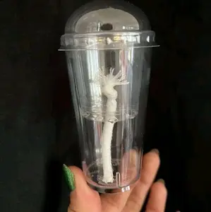 Clear Self Watering Corm Cups with Dome Lids Propagation Colocasia Consistent Moisture Cotton Wick