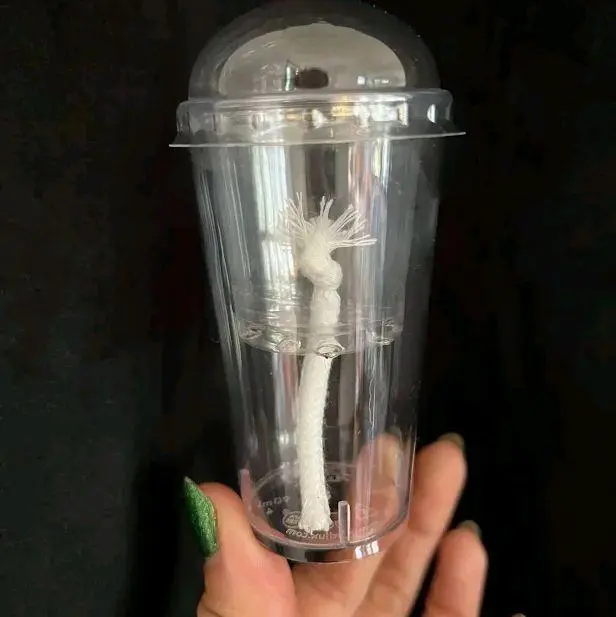 Clear Self Watering Corm Cups with Dome Lids Propagation Colocasia Consistent Moisture Cotton Wick Plant Garden Sprayer