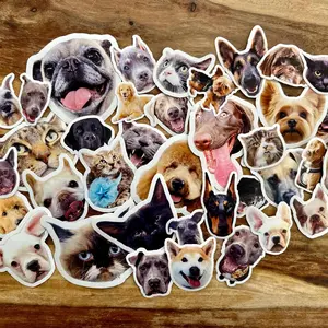 5 Pet Stickers, Dog Stickers, Cat Stickers, Water Resistant Stickers
