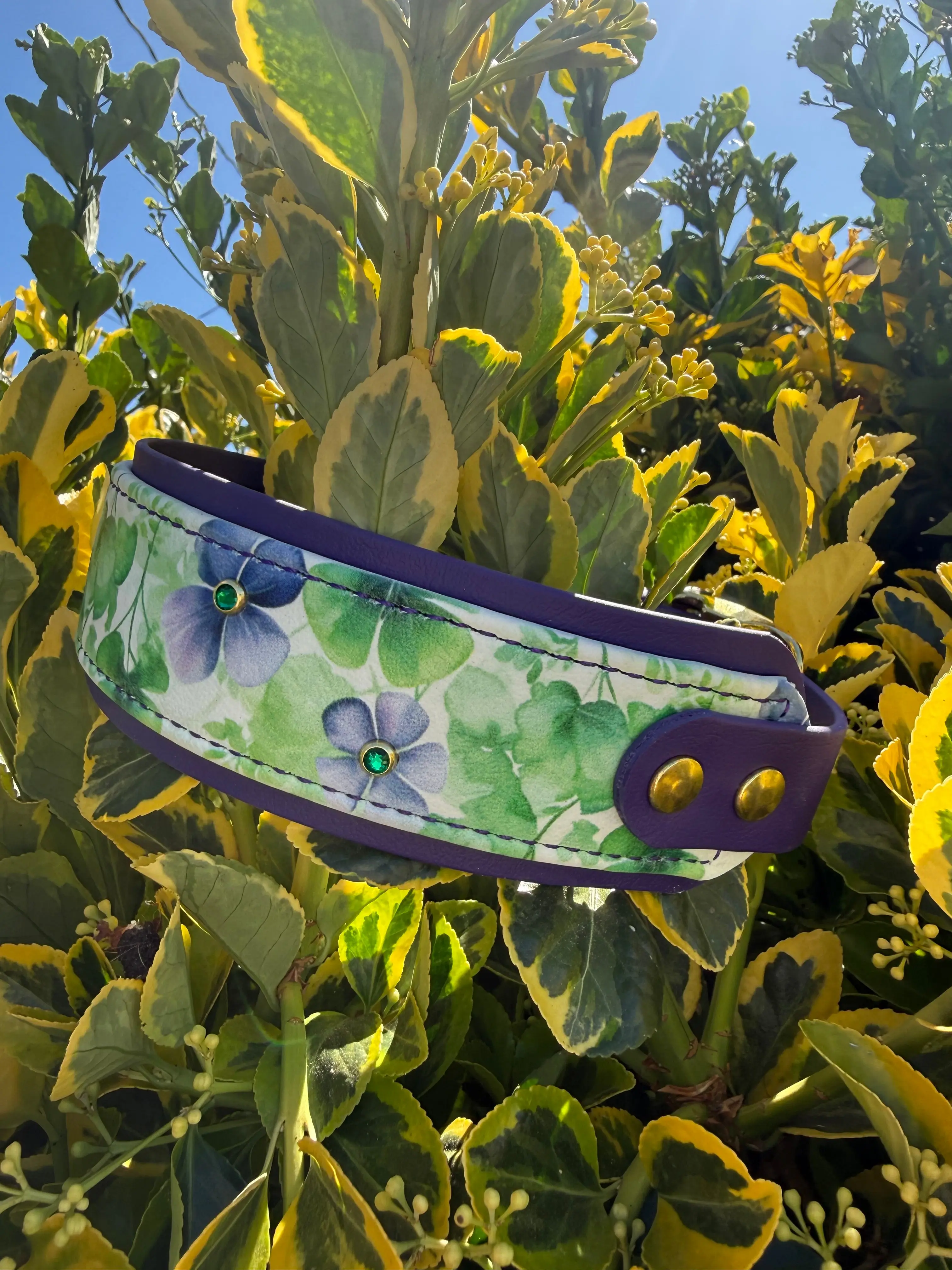Violet Clover Bloom UV Printed Biothane® Dog Collar
