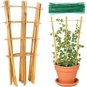 Trellis, 24pack 16 Inch Small    Trellis for Climbing  Indoor Potted