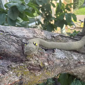 Sage the Garden Snake • 34" Green Crochet Snake • Handmade Stuffed Snake Friend