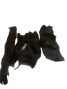 Golden Peel Plant Revival Soak – Plant Nutrient Infusion, Whole Banana Peels