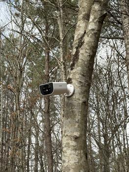 product review image from Dwight 0