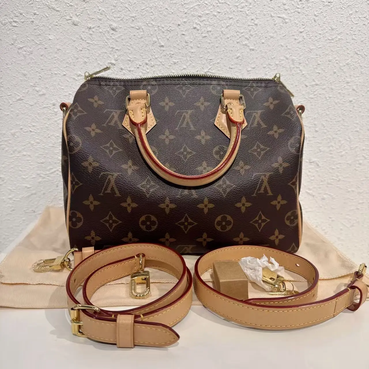 Pre-owned Louis Vuitton Speedy 25 Damier Ebene
