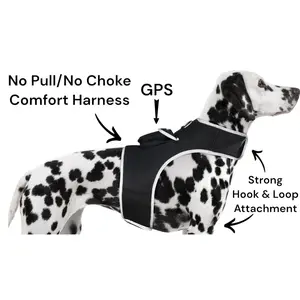 Waterproof GPS Dog Tracker Collar for Pets - Portable, Size M - Real-Time Locator