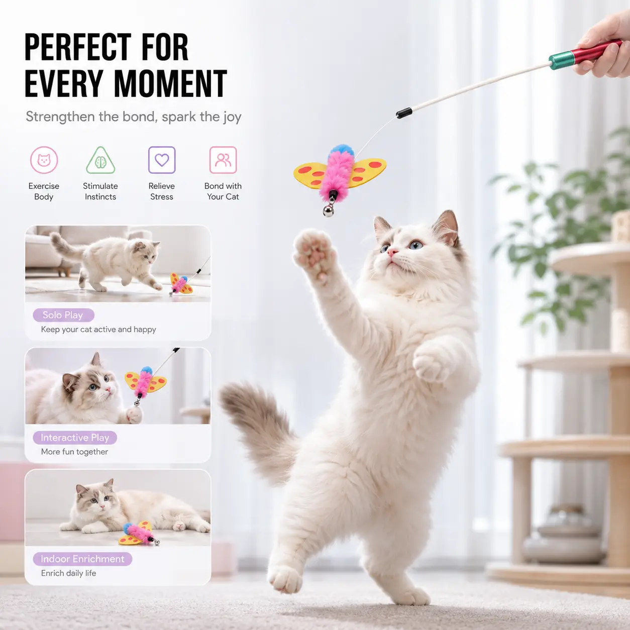 Interactive Cat Wand Toy - Telescopic ABS Plastic Feather Teaser Rod with Replaceable Head, Lightweight Flexible Feather Interactive Toy for Indoor Cats' Exercise & Training,cat essentials interactive cat toys fun  play handheld mode