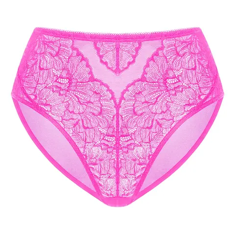 HSIA Blossom Comfortable Mesh Soft Sexy Lace Panty Women Underwear High-Rise Brief