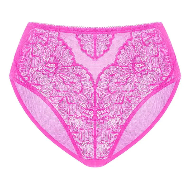 HSIA Blossom Comfortable Mesh Soft Sexy Lace Panty Women Underwear High-Rise Brief