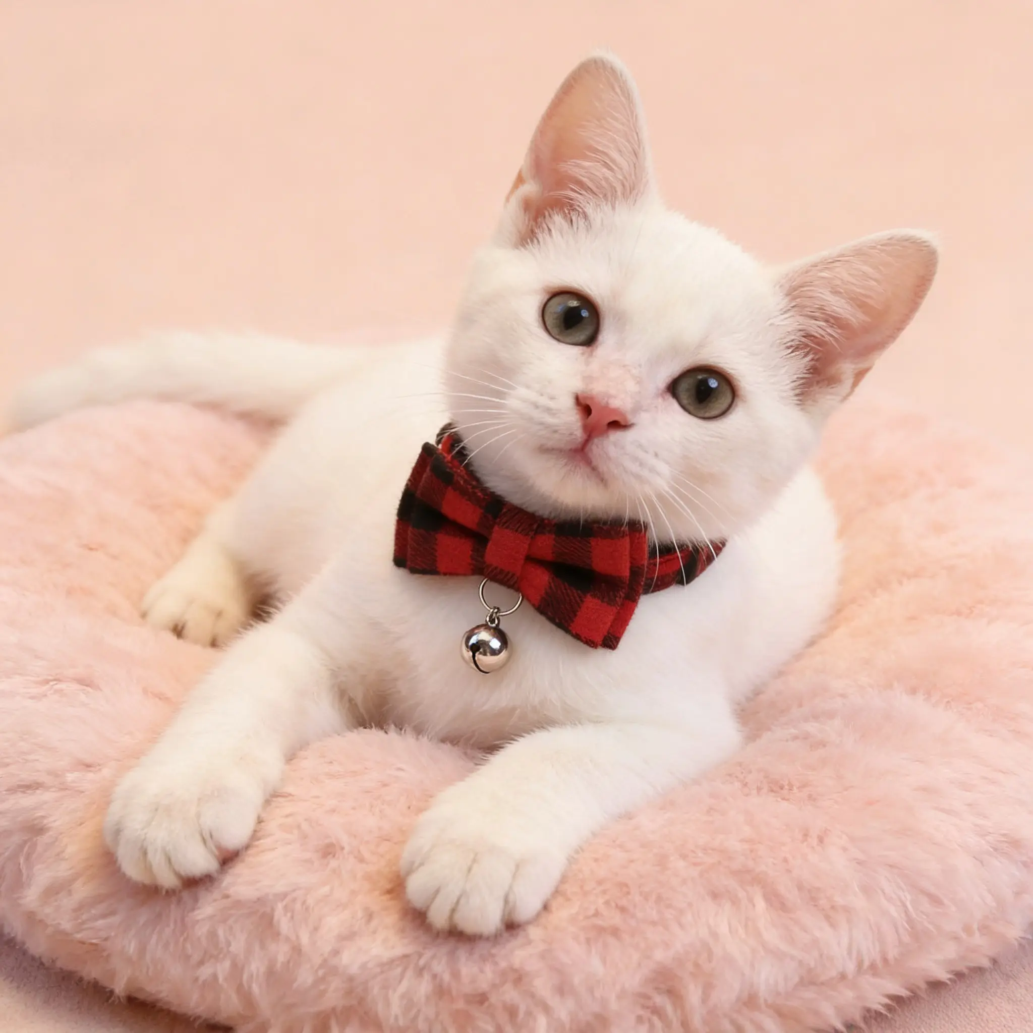 Adjustable Plaid Dog Cat Collar with Bow Tie and Bell, Safe Clip Design for Puppies and Kittens, Perfect Holiday Pet Accessory