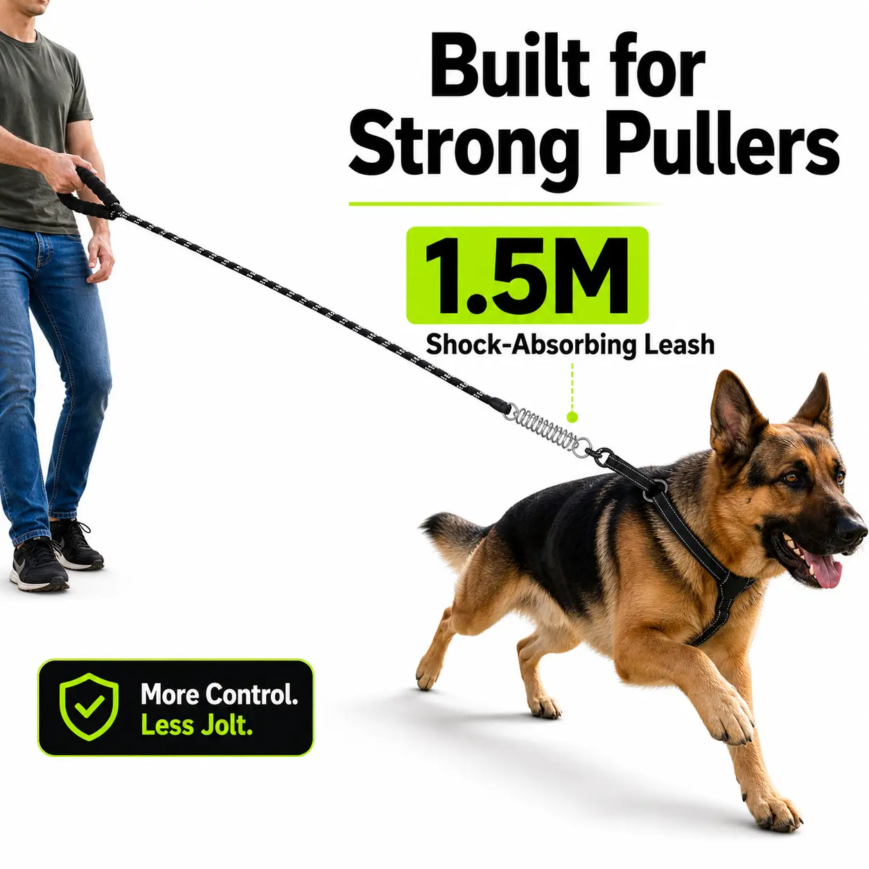 Nylon Webbing Dog Leash - Strong Leashes for Small-Medium Dogs, Controlled Walks, Pull Reduction, Spring Buffer, Outdoor Daily Pet Walking Lead (Suitable for Cats Too)