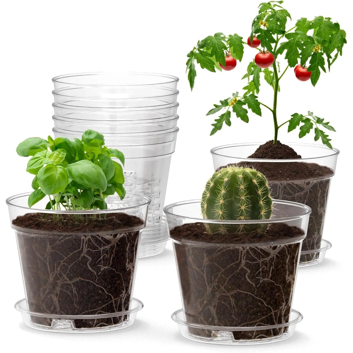 4 Inch Clear  Pots, 8 Pack Highly Transparent  Pots for Small Indoor  with Drainage Holes and Trays, Plastic Seedling Starter Planters