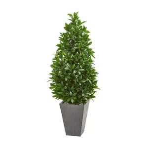 57in.  Bay Leaf Cone Topiary in Planter (Indoor/Outdoor)