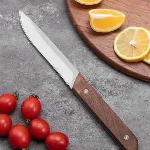 Stainless Steel Small Straight Knife Household, High Hardness Sharp Fruit Knife, Peeler with Solid Wood Handle, Outdoor Barbecue Meat Bone Remover Camping Knife