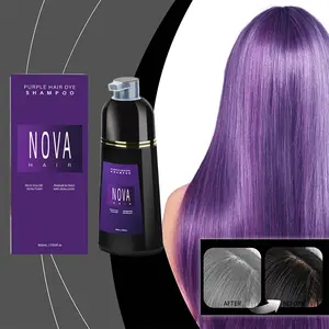 Brand Hair Dye Cream Brown Purple Red Hair Dye Comb Oil Control Dandruff Removal Color Fast Change Hair Large Capacity Products purple  hair  dye