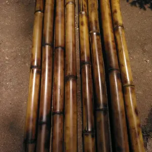 Bamboo poles set 8