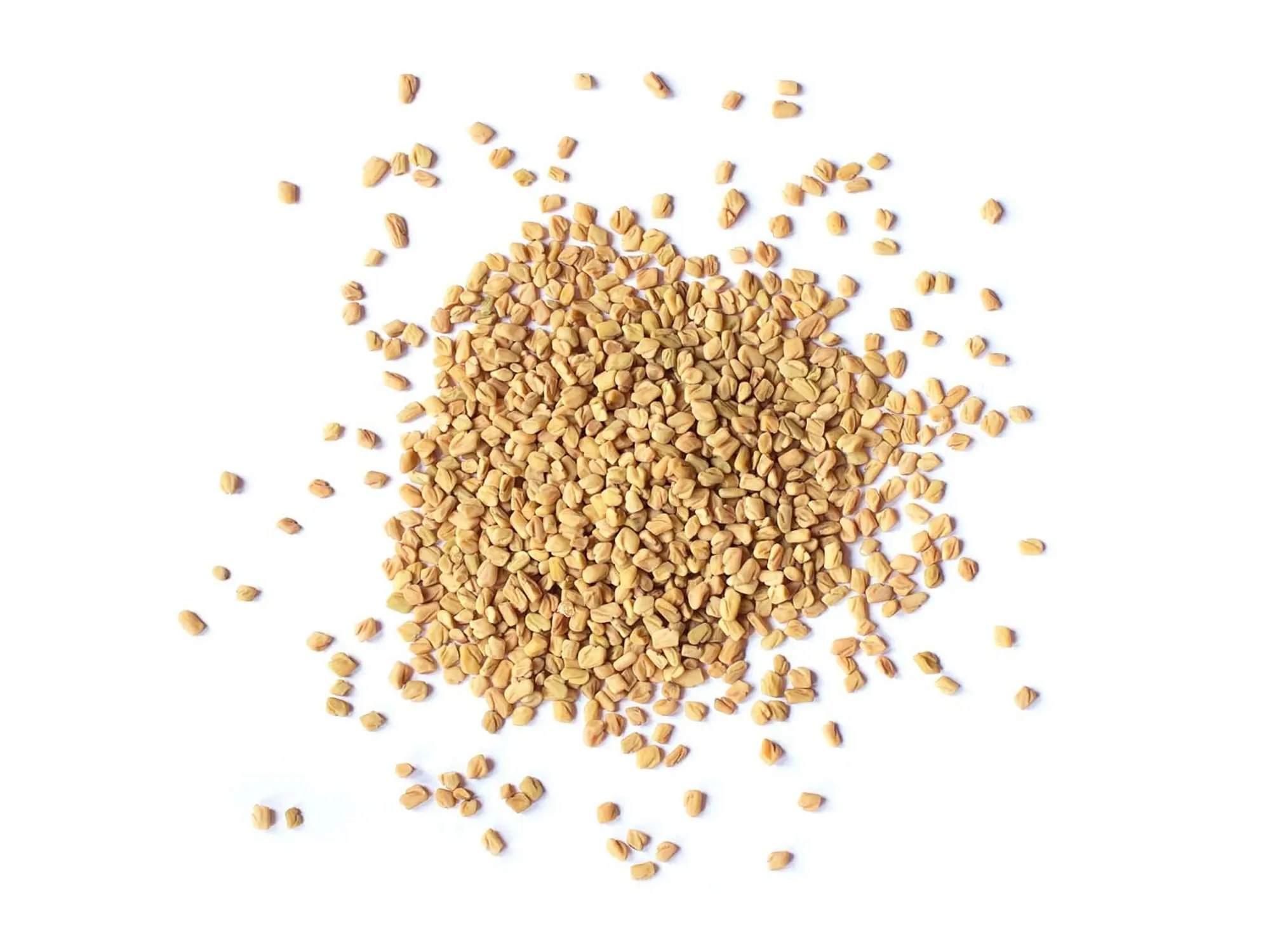 Fenugreek Seeds - by Food To Live Fenugreek Seeds - by Food To Live