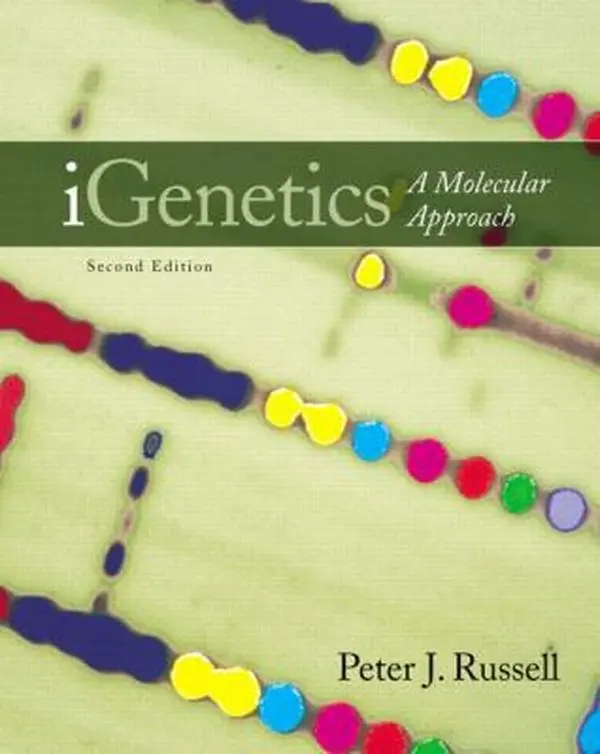 USED-Igenetics: A Molecular Approach by Peter J. Russell (Hardcover)