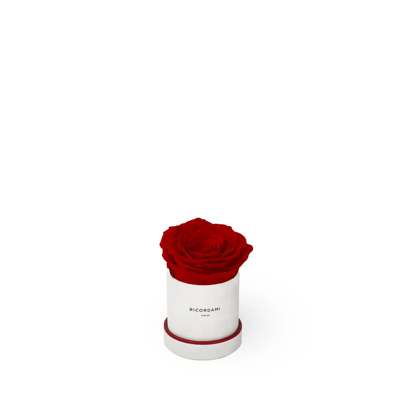Romantic Real Forever Rose in Round Luxury Box – Like Sought-After Welded Roses, but Real by Ricordami Artificial Flower