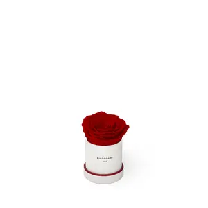Romantic Real Forever Rose in Round Luxury Box – Like Sought-After Welded Roses, but Real by Ricordami Artificial Flower