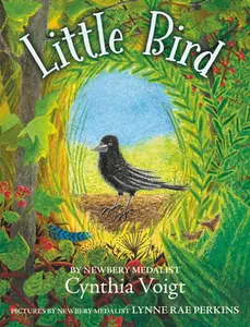 USED-Little Bird by Voigt, Cynthia (Paperback)