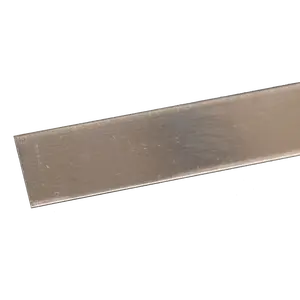 Stainless Steel Strip: 0.018" Thick x 1/2" Wide x 12" Long (1 Piece)