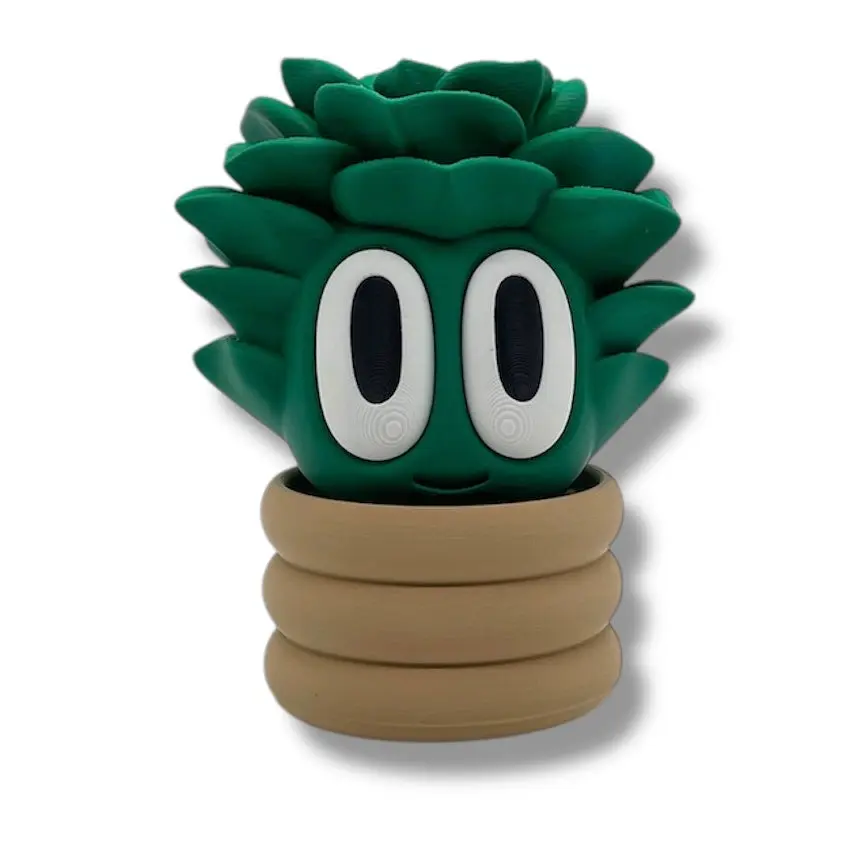 BIGZ Succulent Plant