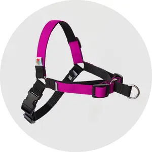Wildebeest Linden No Pull Dog Harness | Easy to Use, Effective Training Harness | Front Clipping, 4 Point Adjustable