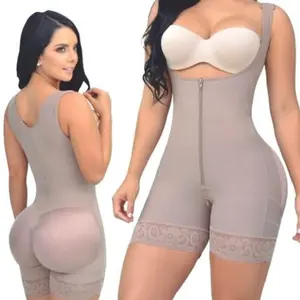 Daily Modelo Shaper Daily Modelo Shaper