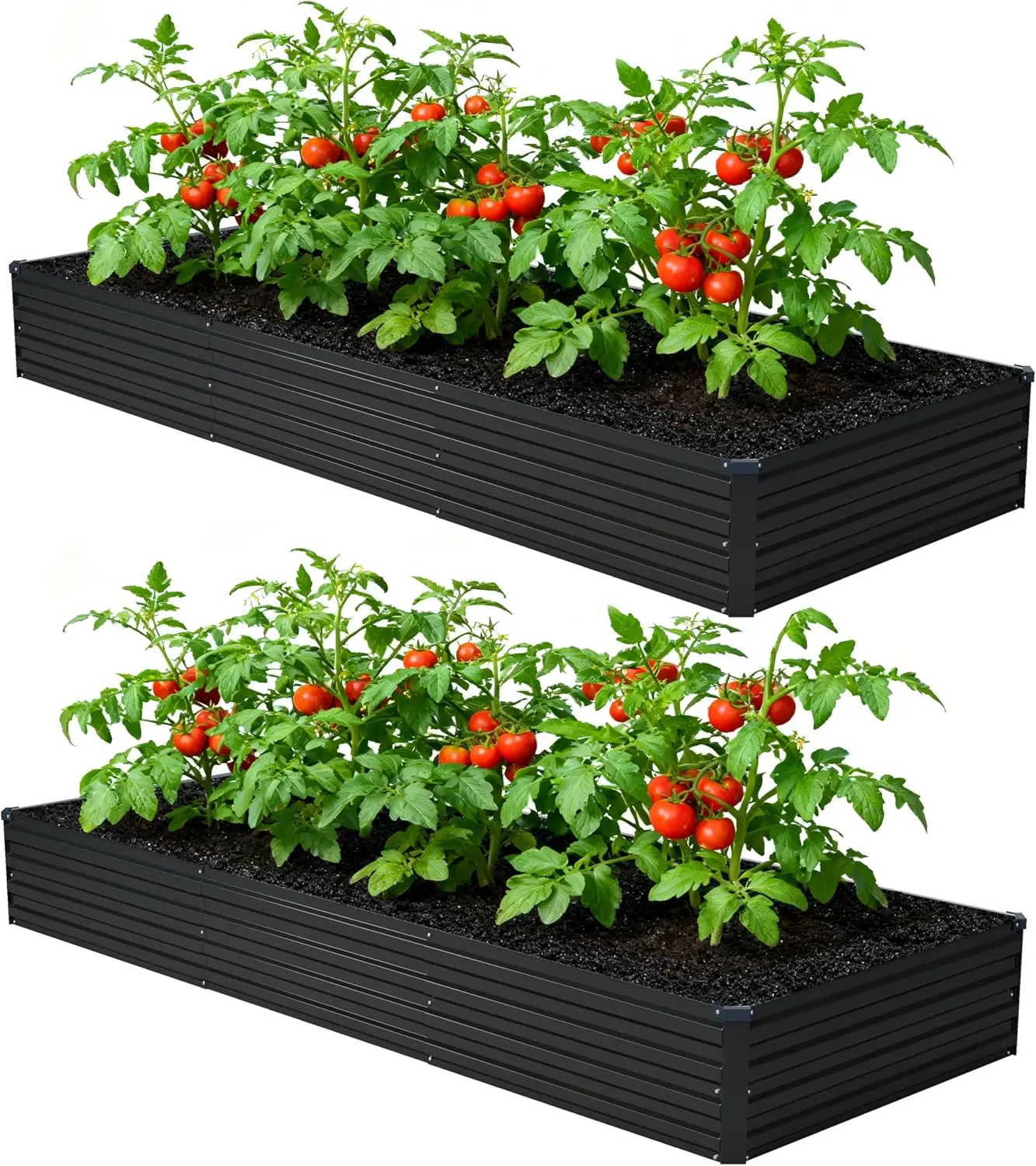 Foxlang Galvanized Raised Garden Beds, 2 Pack, 12 x 4 x 1 ft Each, Open-Base Metal Planter Boxes for Vegetables, Flowers and Herbs, Black