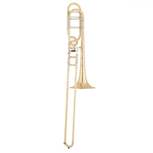 S.E. Shires Q Series Large Bore Tenor Trombone Gold Brass Bell w/Rotary Valve (TBQ30GR)
