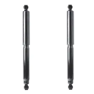 GARVEE 2004-2010 F-150/06-08 Lincoln Mark Rear Absorbers Pair 171525