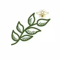 background preload poster image 