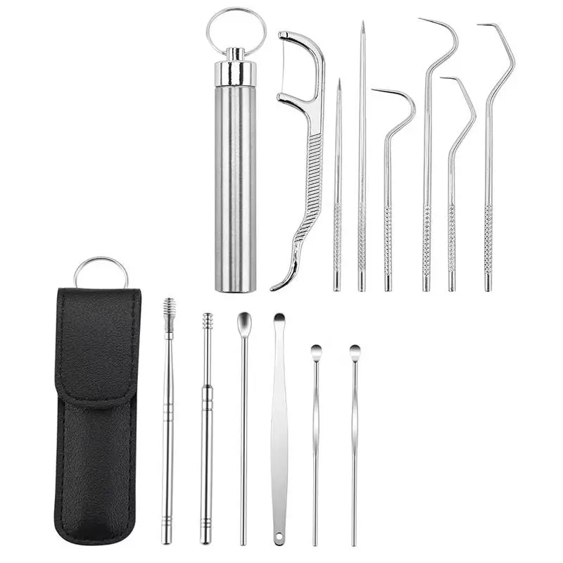 Stainless Steel Toothpick Set, Portable Storage Box Oral Care Toothpick Set, Oral Teeth Cleaning Tool, Ear Wax Removal Tool Set, Oral Care Kit, Oral Care Tools