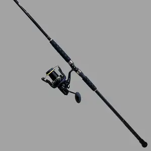 Surf Fisher Premium Long Cast Spinning Combo
