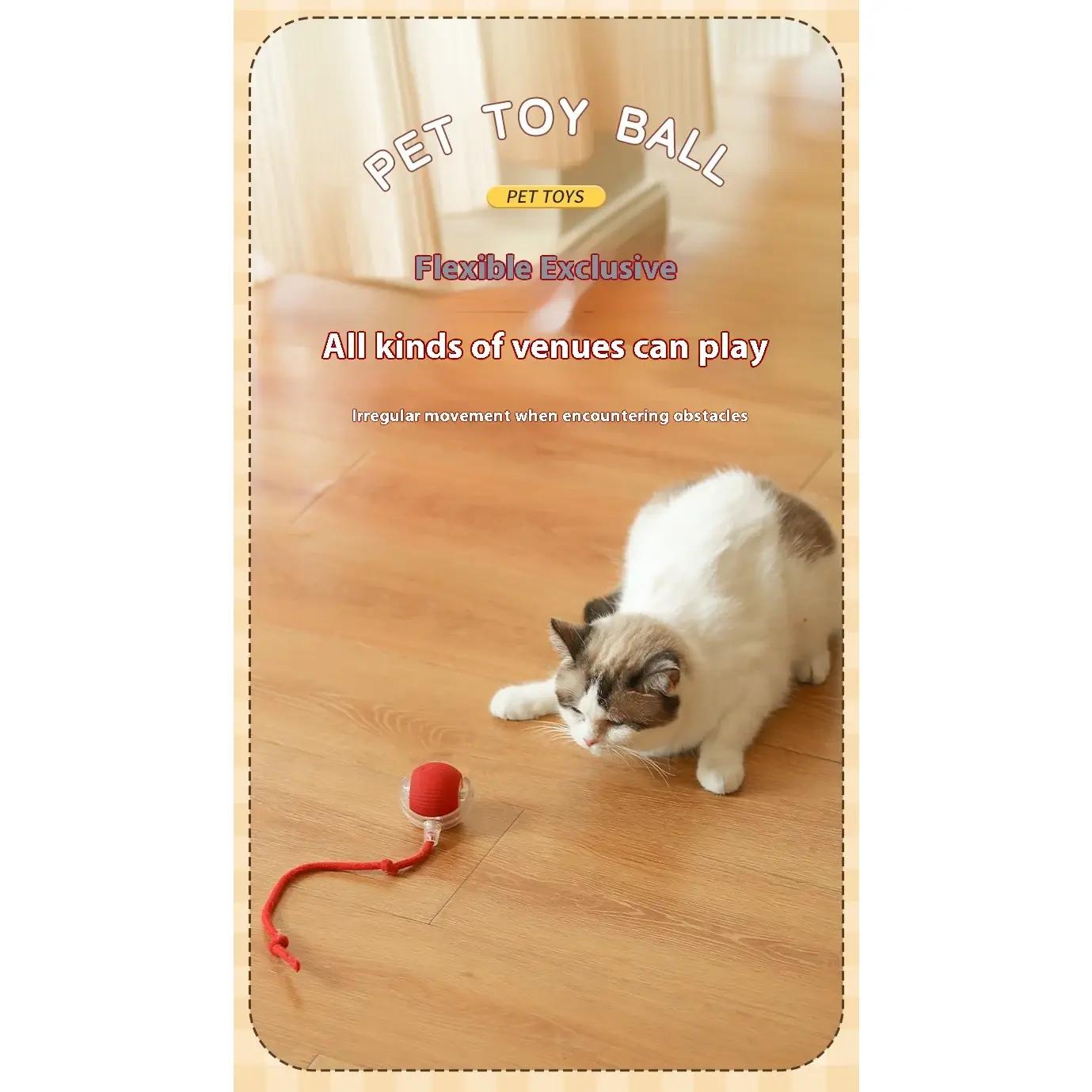 2Pcs Cat Interactive Ball Toys Automatic Rolling Ball Faux Tail Rechargeable Smart Pet Electric Toy Cat Training Imitate Mouse 2Pcs Cat Interactive Ball Toys Automatic Rolling Ball Faux Tail Rechargeable Smart Pet Electric Toy Cat Training Imitate Mouse