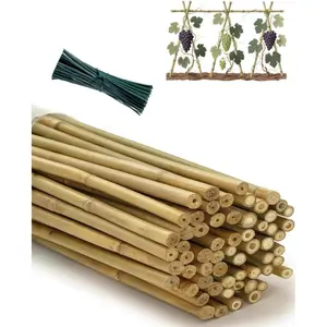 60 Pack 58 inch  Stakes for  with 200 Twist Ties  Sticks  Support Garden Stakes Poles for Tomatoes Cucumber Grapes Pole Beans Trees Potted Dahlia