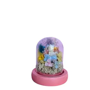 Mini Floral Glass Terrarium with Pastel Colors and Pink Base Shelf Decor for Home and Office