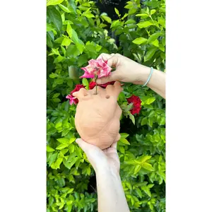 Clay Heart Handmade Decorative Ornament - Made in Mexico for Home Decor and Decoration Flowerpot