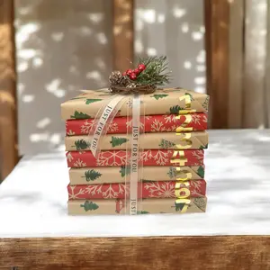 Blind Date with a Book Christmas Advent Calendar | Holiday Gift Set for Book Lovers