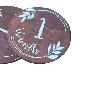 12 months milestone tiles/ baby photo accessories/ wooden milestone tiles for first year monthly photos/ 12 tiles