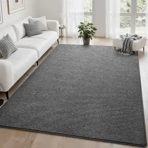 Soft Area Rug for Living Room Bedroom, 5x7 Dark Grey Rug Memory  Carpets, Washable Modern Indoor Non-Slip Minimalist Shag Rugs for Boys Girls Room Dorm  Decor