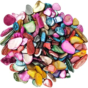 Crushed Shells Chips Irregular Mother of  Seashell Fragments Sea Shell Pieces for DIY Crafts, Vase Filler, Decorating,  Decor