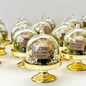 Mini Plastic Candy Boxes with Lids, Party Decoration Storage, Gift Boxes for Birthdays, Weddings, Holidays, Party Packs, 24pcs/48pcs Set