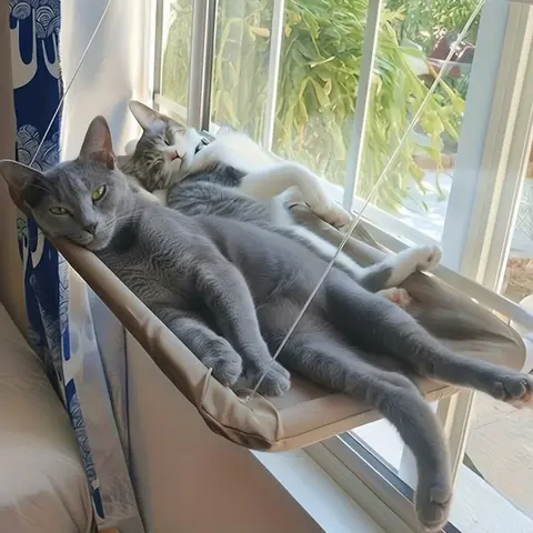 Cat Window Perch & Hammock Bed with Strong Suction Cups, Comfortable Sunbathing & Lounger for Indoor Cats, Reinforced & Fall-Proof Detachable Pet Sleeper & Khaki